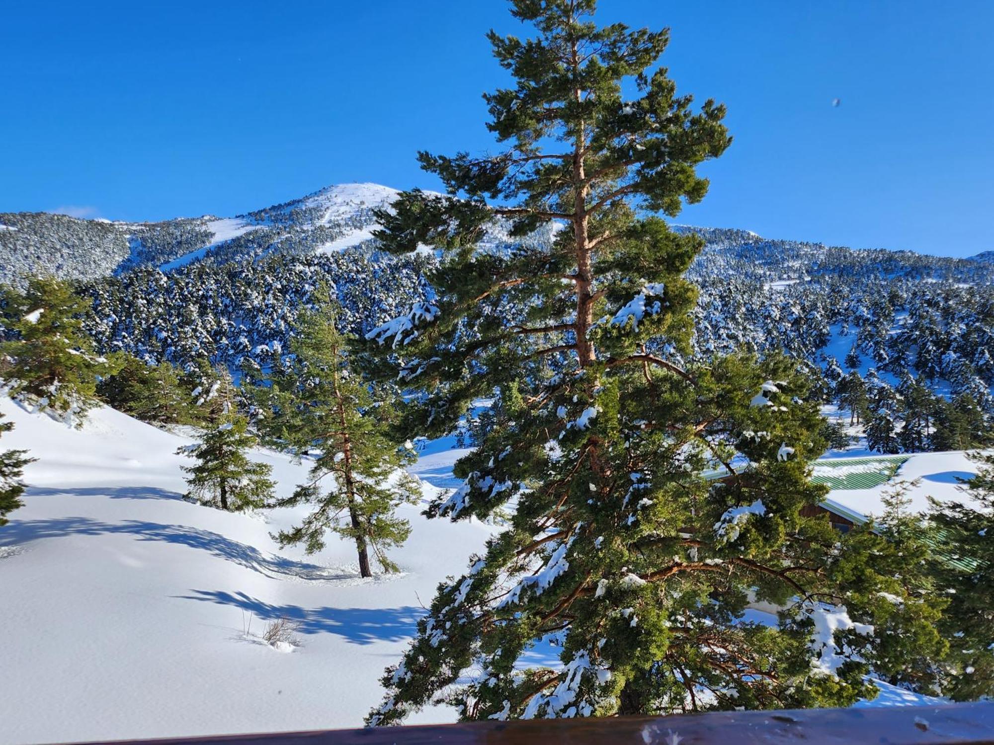Апартаменты Greolieres Les Neiges Экстерьер фото